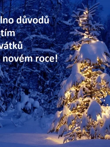 vanocni-prani-ke-stazeni-stesti