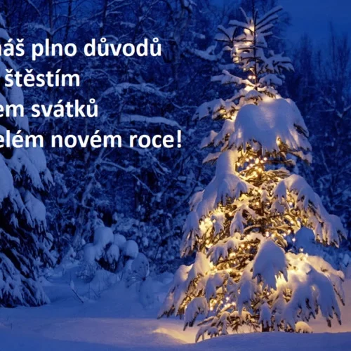 vanocni-prani-ke-stazeni-stesti