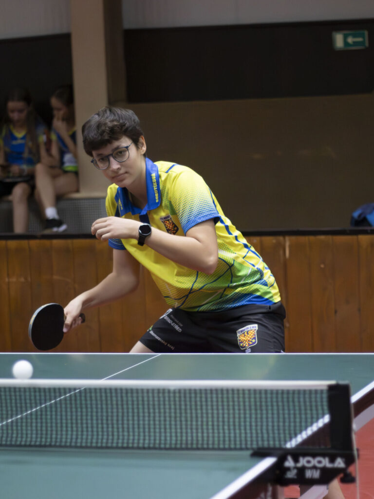 Monika Sobotíková – hra