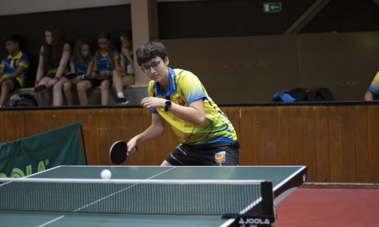 Monika Sobotíková – hra