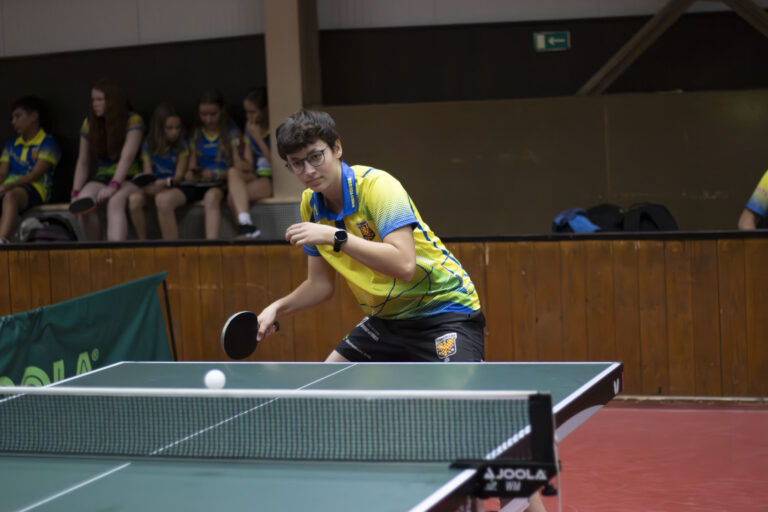 Monika Sobotíková – hra