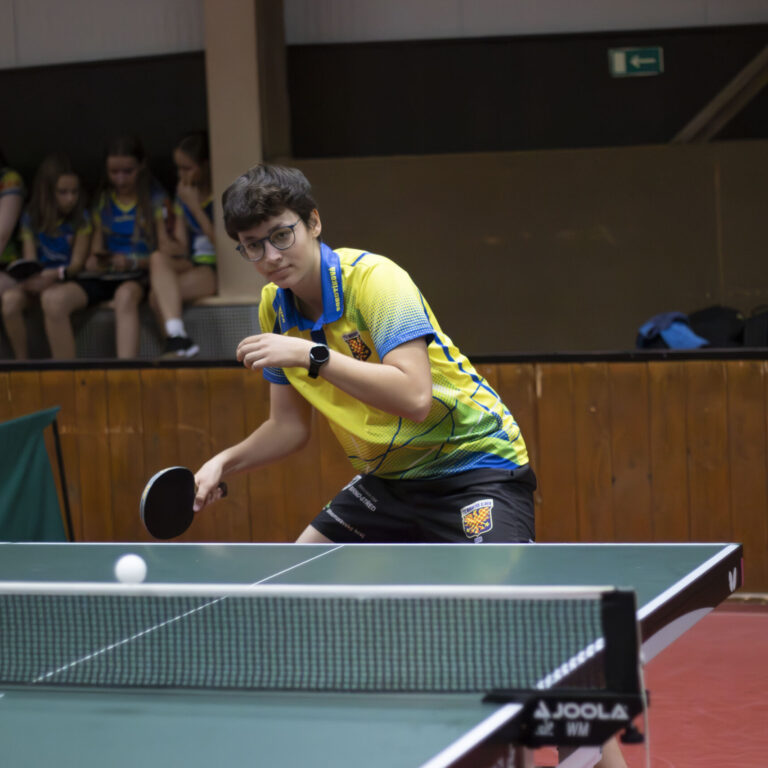 Monika Sobotíková – hra