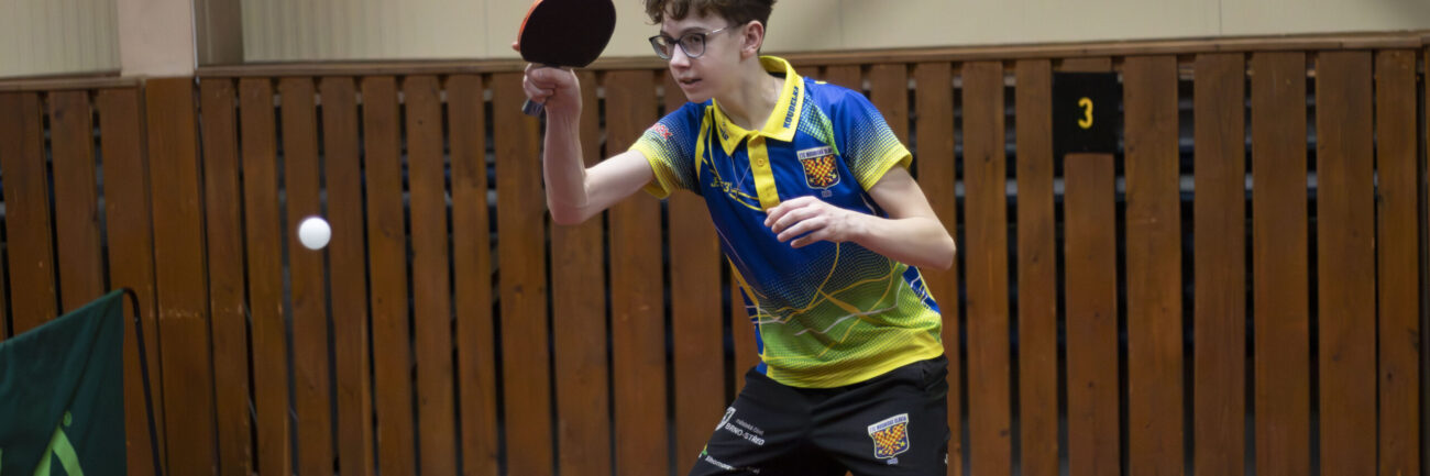 David Koudelka – hra