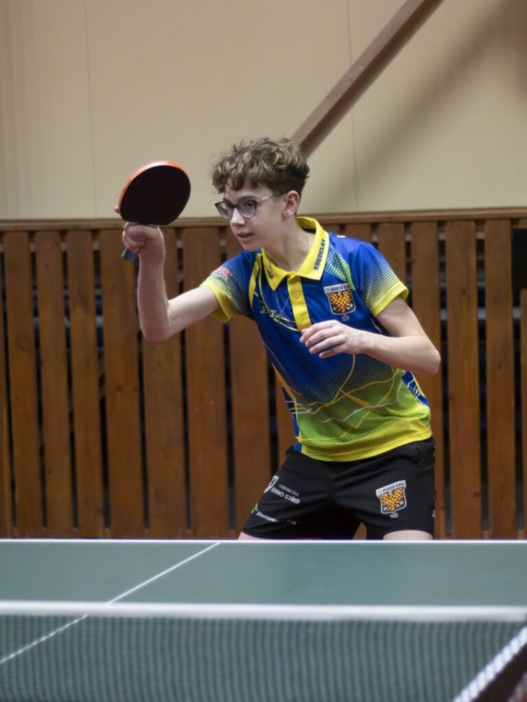 David Koudelka – hra