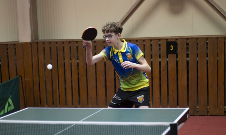 David Koudelka – hra