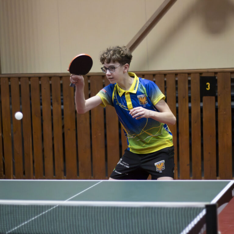 David Koudelka – hra