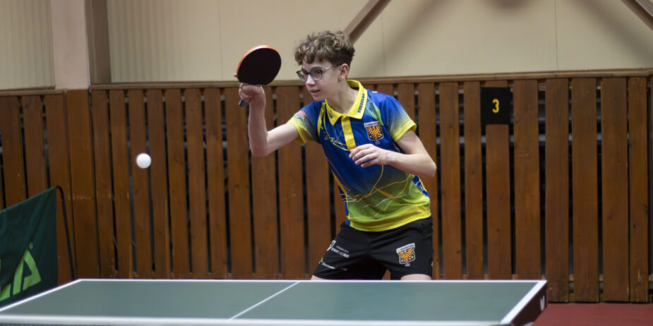 David Koudelka – hra