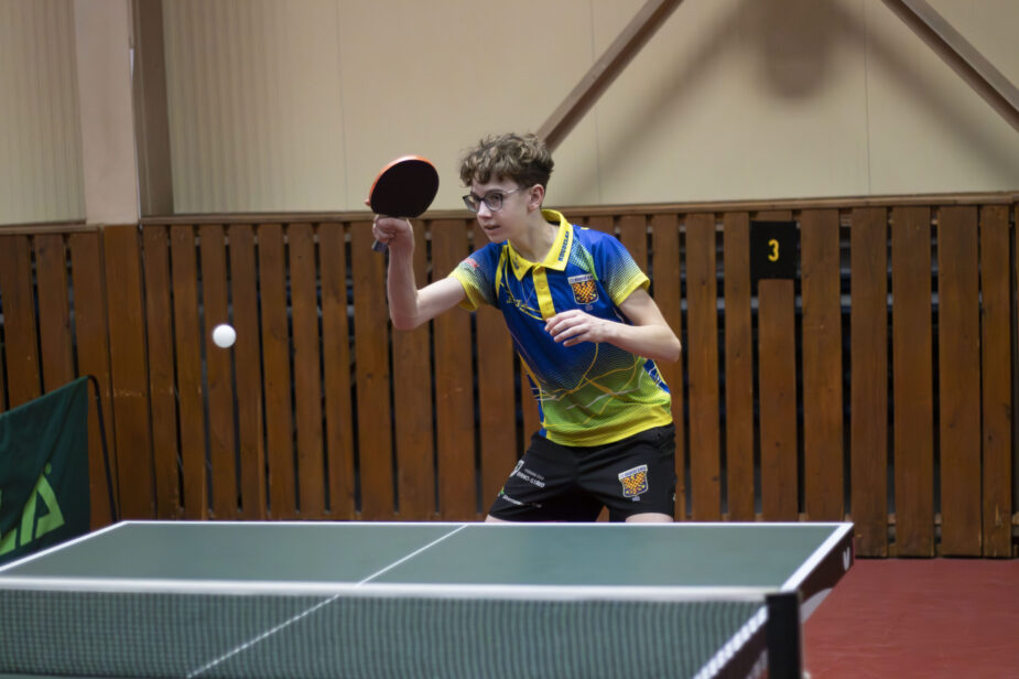 David Koudelka – hra