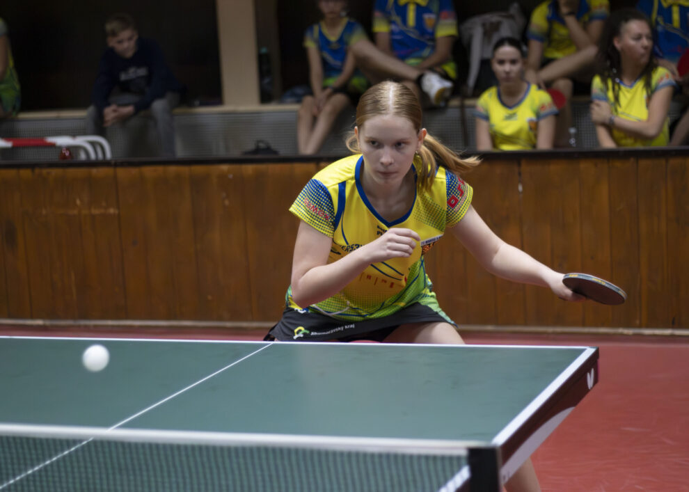 Kristýna Plíšková – hra