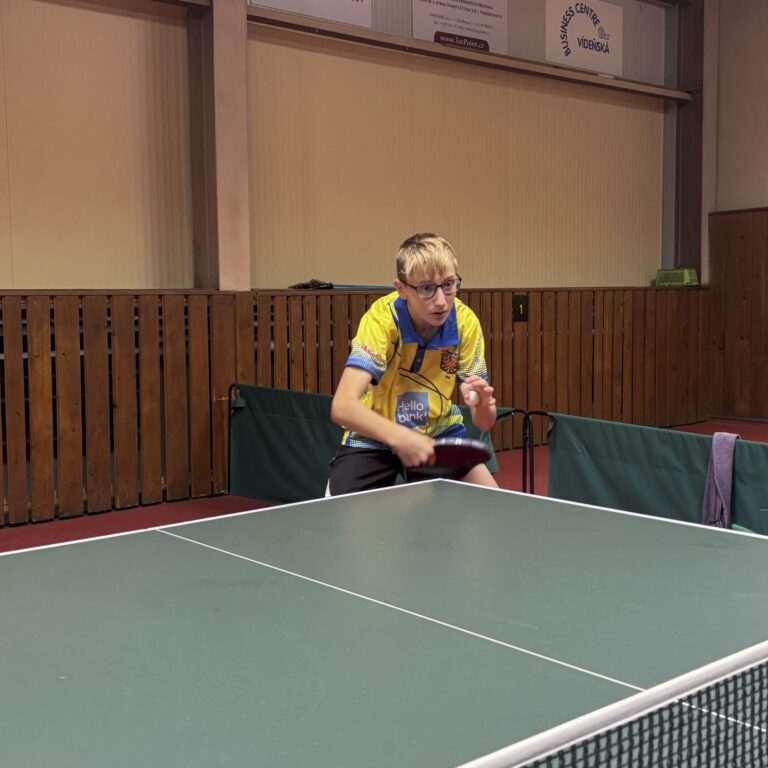 Michal Plotěný – hra (2)