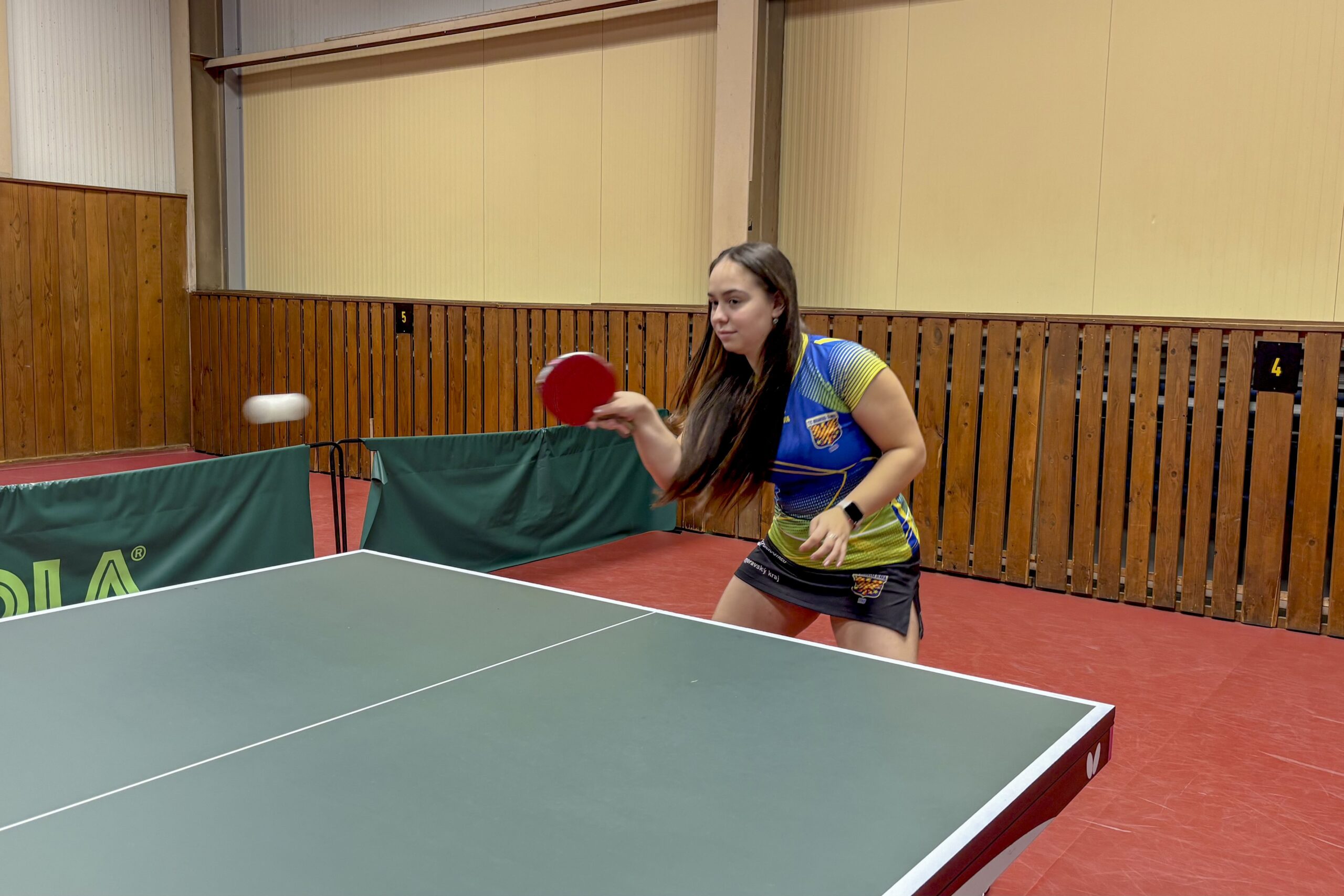 Romana Glucková – hra