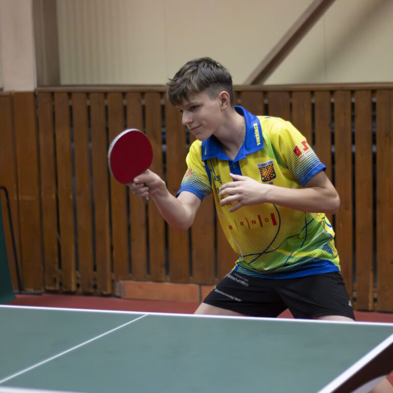 Tomáš Vokřínek – hra