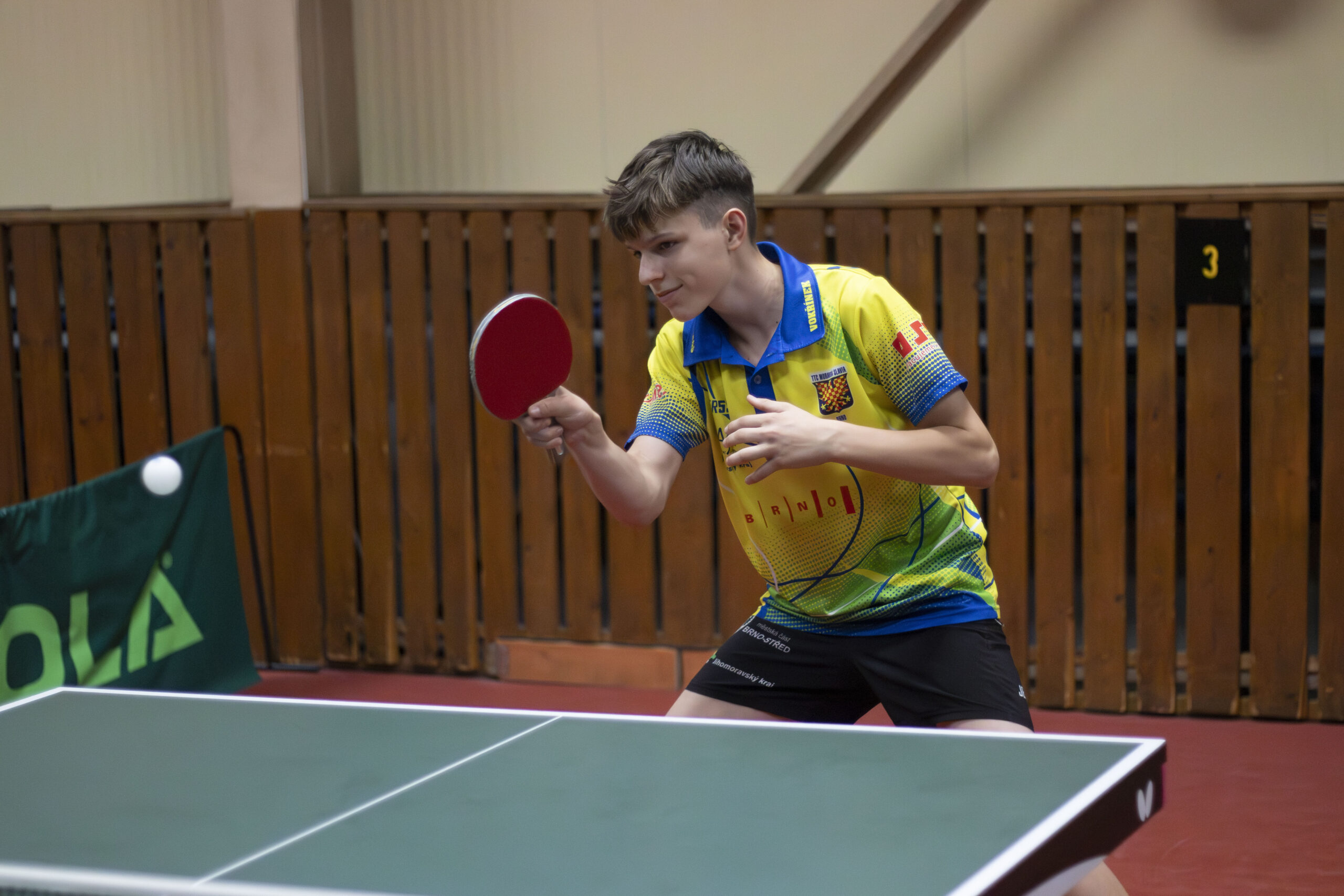 Tomáš Vokřínek – hra